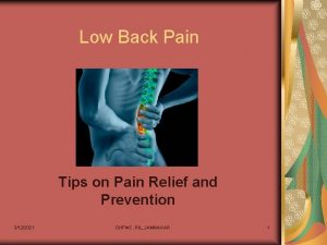 Low Back Pain Tips on Pain Relief and