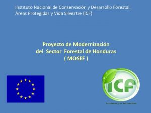 Instituto Nacional de Conservacin y Desarrollo Forestal reas