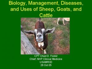 Biology Management Diseases and Uses of Sheep Goats