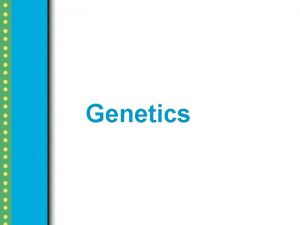 Genetics vocabulary review answer key