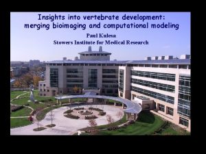 Insights into vertebrate development merging bioimaging and computational