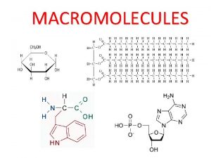 Glycogen macromolecule