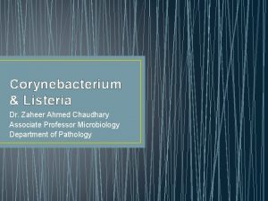 Corynebacterium Listeria Dr Zaheer Ahmed Chaudhary Associate Professor