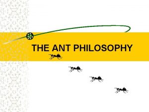 Ants philosophy