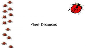 Plant Diseases Objective 8 02 Discuss diseases and