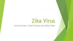 Zika Virus Esraa Almasri Farah Albdoor and Shefaa