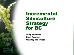 Incremental Silviculture Strategy for BC Larry Pedersen Chief