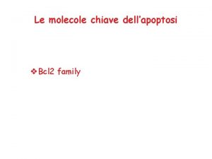 Le molecole chiave dellapoptosi v Bcl 2 family