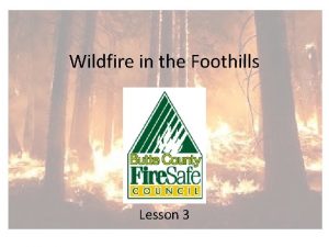Wildfire in the Foothills Lesson 3 What should