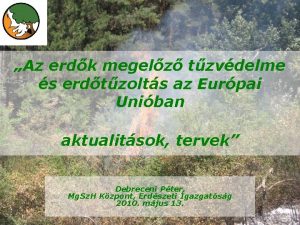 Az erdk megelz tzvdelme s erdtzolts az Eurpai