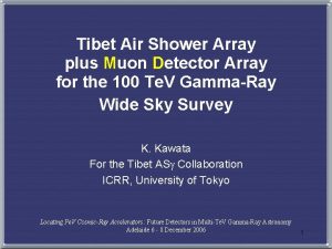 Tibet Air Shower Array plus Muon Detector Array