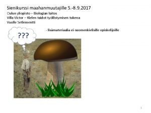 Kalvashaaparousku