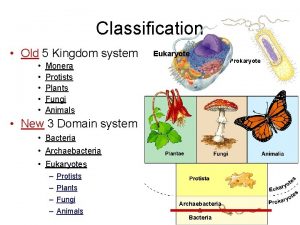 Classification Old 5 Kingdom system Eukaryote Monera Protists