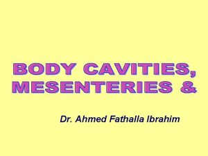 Dr Ahmed Fathalla Ibrahim INTRAEMBRYONIC COELOM INTRAEMBRYONIC COELOM