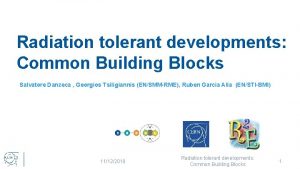 Radiation tolerant developments Common Building Blocks Salvatore Danzeca