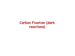 Carbon Fixation dark reactions Carbon Dioxide Fixation A