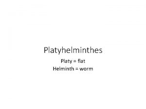 Platyhelminthes Platy flat Helminth worm Taxonomy Kingdom Animalia