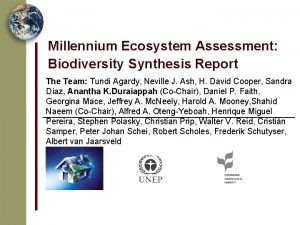 Millennium Ecosystem Assessment Biodiversity Synthesis Report The Team