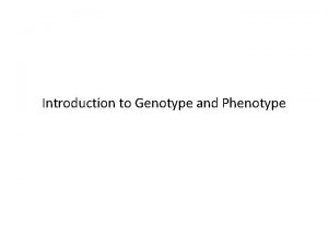 Phenotype and genotype