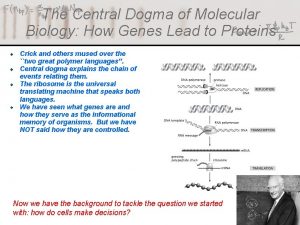 The Central Dogma of Molecular Biology How Genes