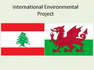 International Environmental Project Llangollen Ysgol Dinas Bran What