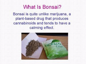 What Is Bonsai Bonsai is quite unlike marijuana