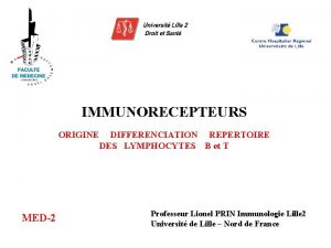 IMMUNORECEPTEURS ORIGINE MED2 DIFFERENCIATION REPERTOIRE DES LYMPHOCYTES B