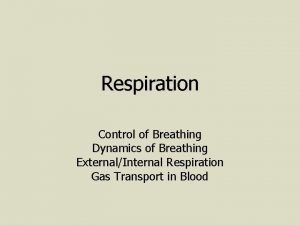 Respiration Control of Breathing Dynamics of Breathing ExternalInternal