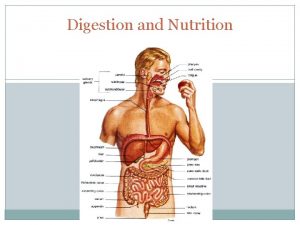 Digestion and Nutrition Introduction Digestion mechanical and chemical