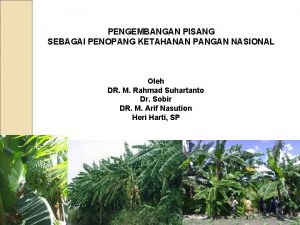 PENGEMBANGAN PISANG SEBAGAI PENOPANG KETAHANAN PANGAN NASIONAL Oleh