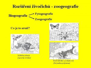 Rozen ivoich zoogeografie Biogeografie Fytogeografie Zoogeografie Co je