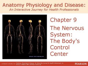 Anatomy Physiology and Disease An Interactive Journey for