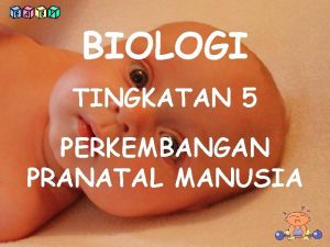 BIOLOGI TINGKATAN 5 PERKEMBANGAN PRANATAL MANUSIA SISTEM PEMBIAKAN