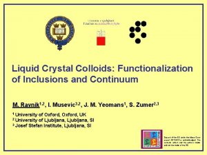 Liquid Crystal Colloids Functionalization of Inclusions and Continuum