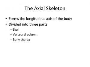 The axial skeleton forms the longitudinal axis of the body