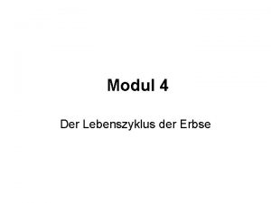 Modul 4 Der Lebenszyklus der Erbse Die Erbse