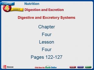 Digestive and Excretory Systems Chapter Four Lesson Four