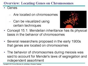 Overview Locating Genes on Chromosomes Genes Are located