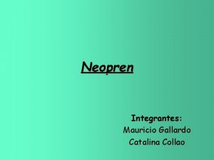 Neopren Integrantes Mauricio Gallardo Catalina Collao Qu es