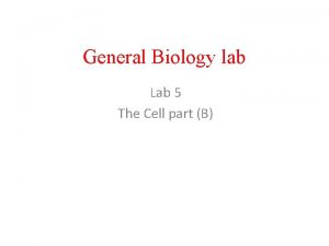 General Biology lab Lab 5 The Cell part