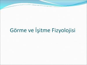 Grme ve itme Fizyolojisi Gz ve Grme Gz