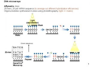 DNA microarrays Affymetrix chips 25 mers 20 per