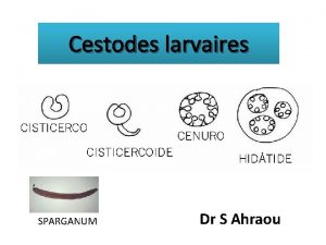 Cestodes larvaires SPARGANUM Dr S Ahraou Embranchement des