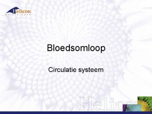 Bloedsomloop Circulatie systeem Bloedsomloop 1 Pomp hart 2