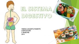 EL SISTEMA DIGESTIVO YESENIA ANGARITA PIMIENTO LICENCIATURA V