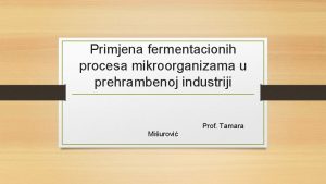 Primjena fermentacionih procesa mikroorganizama u prehrambenoj industriji Miurovi