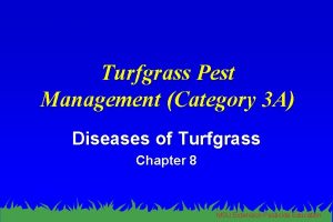 Turfgrass Pest Management Category 3 A Diseases of