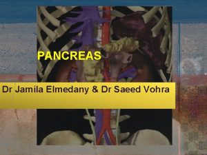 PANCREAS Dr Jamila Elmedany Dr Saeed Vohra OBJECTIVES