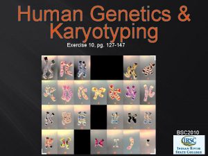 Human Genetics Karyotyping Exercise 10 pg 127 147