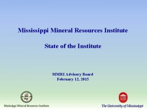 Mississippi mineral resources institute